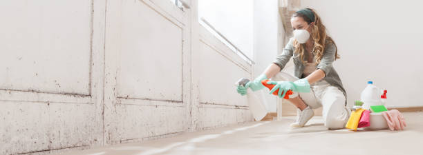 Mold Remediation for Rental Properties in Tome, NM